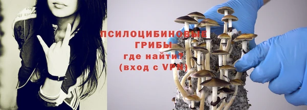 молекула духа Горно-Алтайск