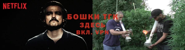 меф Горняк