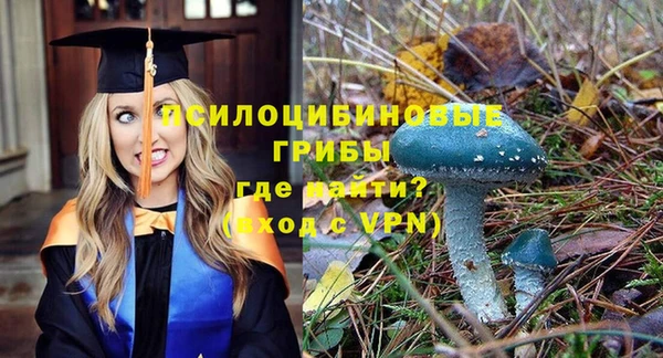 меф Горняк