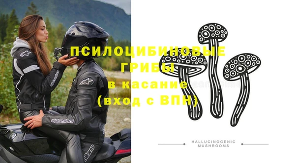 молекула духа Горно-Алтайск